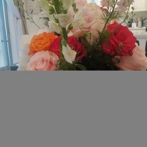 Meet your Posher, Mercy